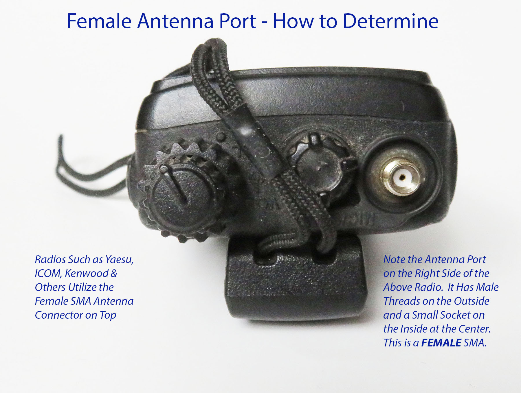 female-antenna-port-how-to-check
